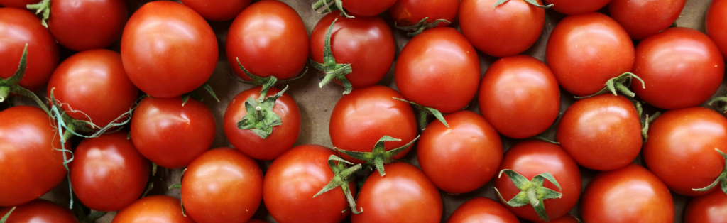 harvested cherry tomatoes