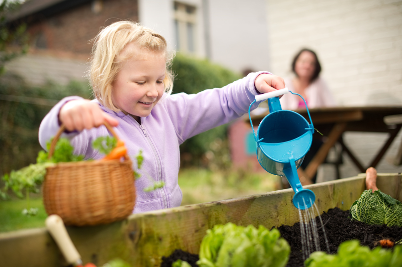 children in garden, veg patch